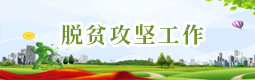 脫貧攻堅工作